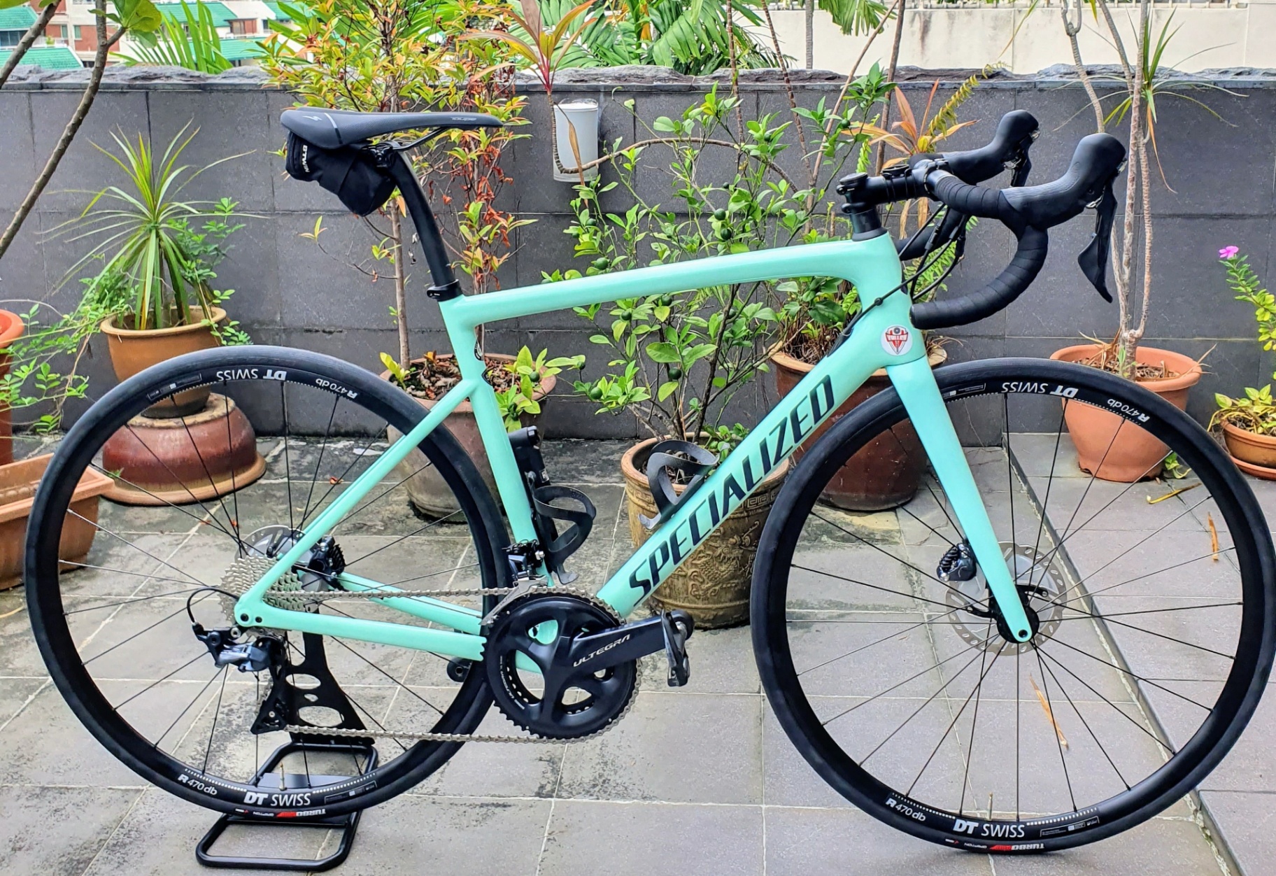 Celeste green Specialized Tarmac carbon road bike available to rent