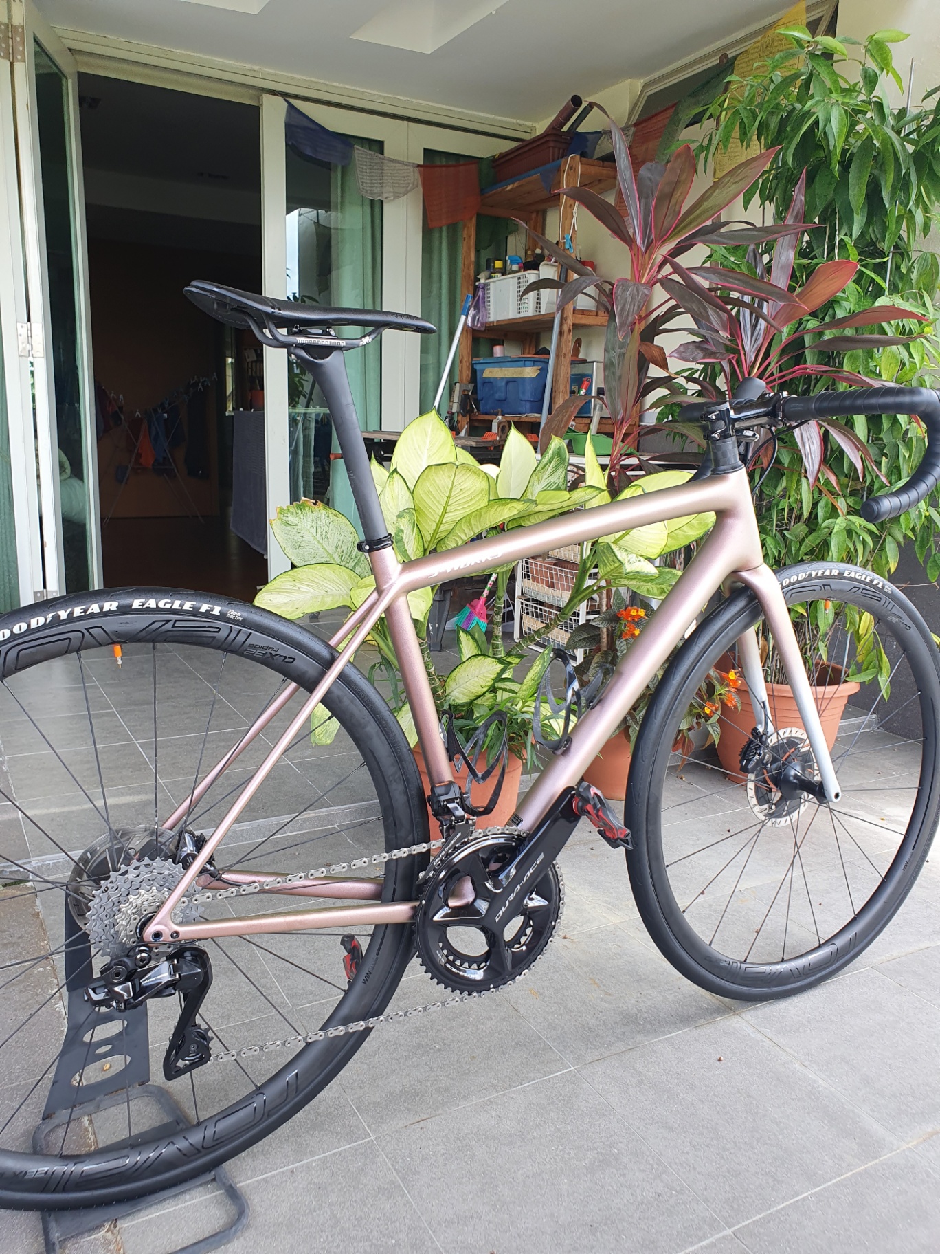 S-Works carbon road bike with Dura-Ace and deep carbon wheels